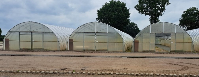 Folienhaus Richel 3 Stück