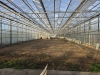Venlo Gewächshaus 1.024 qm