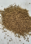 Bio-Dünger