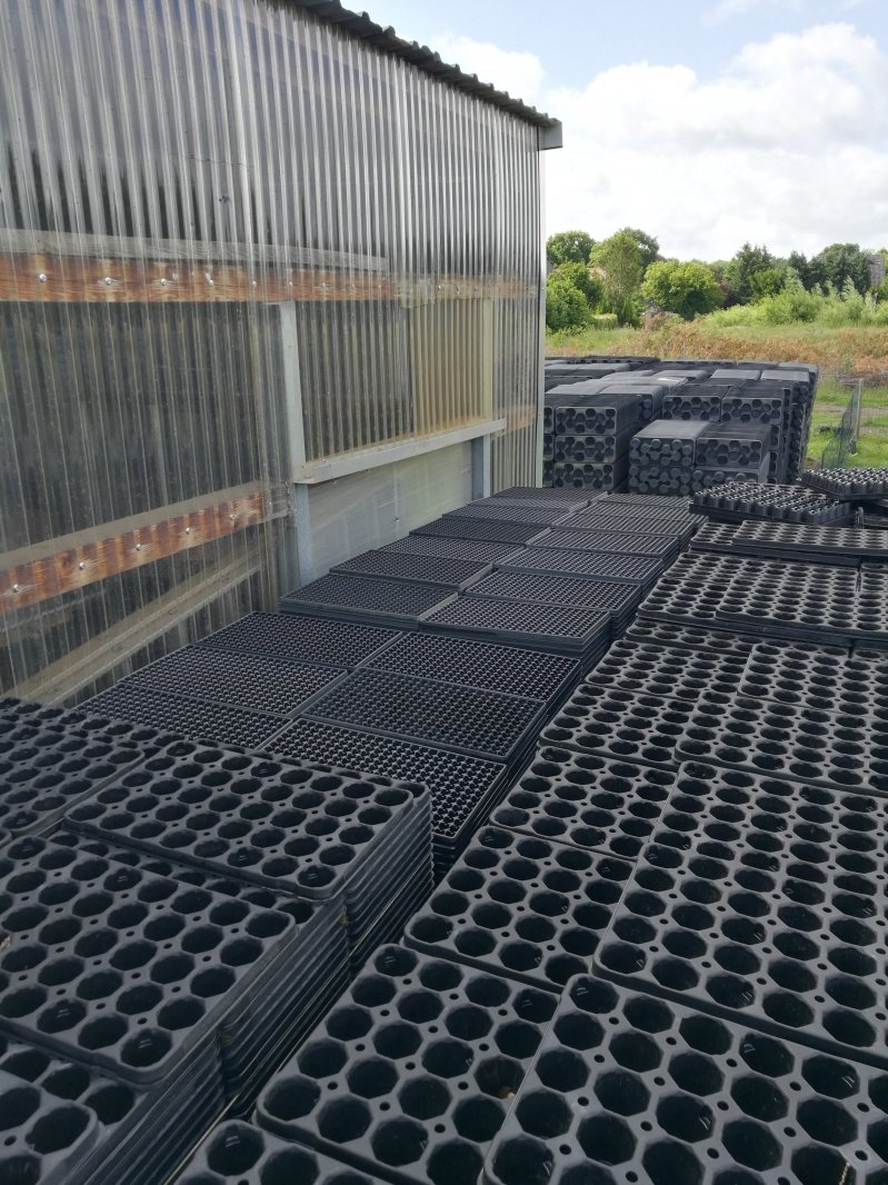 QP Platten D299W vorhanden