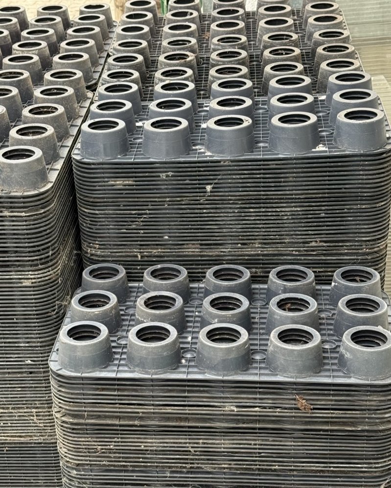 Gernert Florapack Platten mit 15 u. 11 Loch, Manna