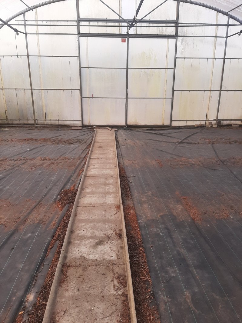 Sollte Folientunnel Länge 65,50m x Breite12m