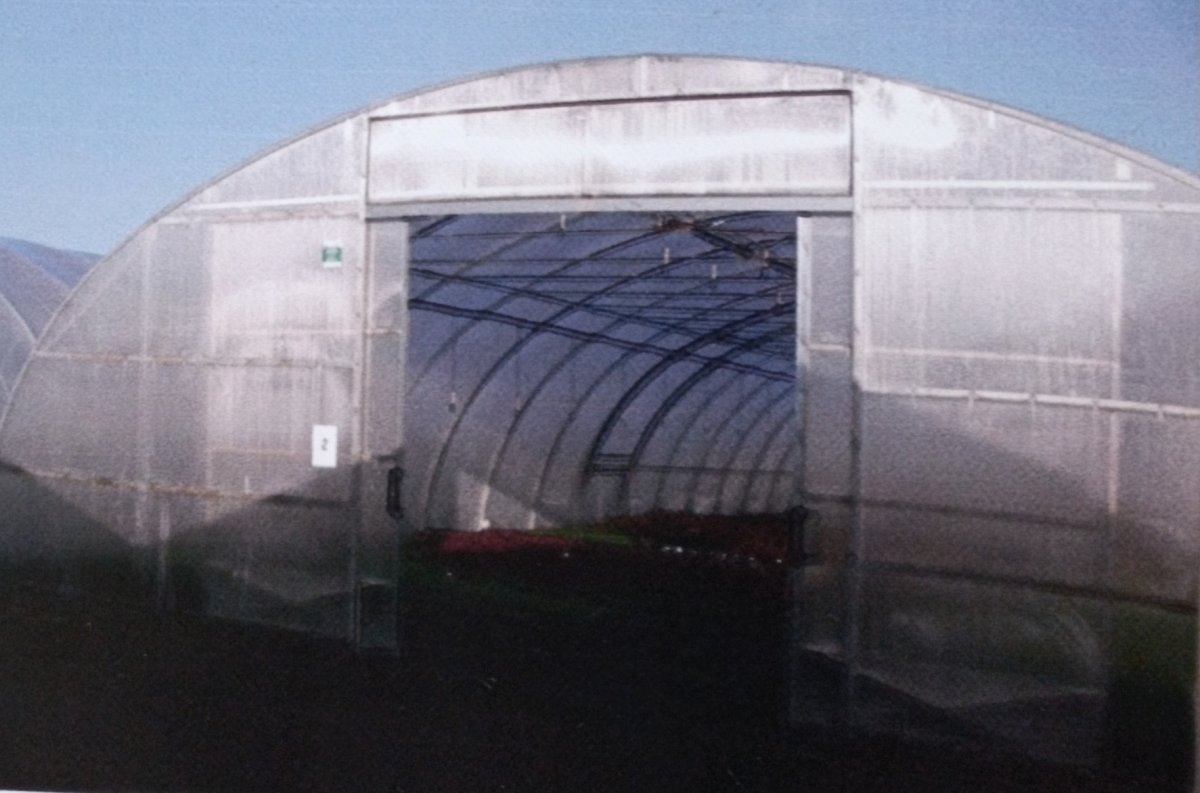 Folientunnel Gewächshaus