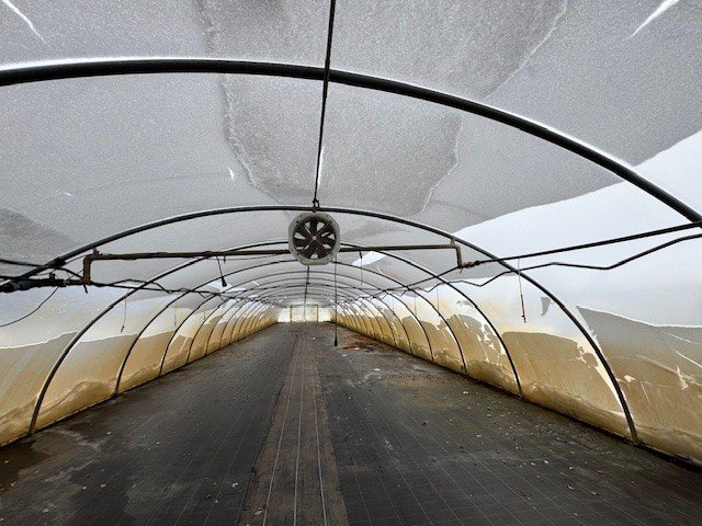 Folien Tunnel