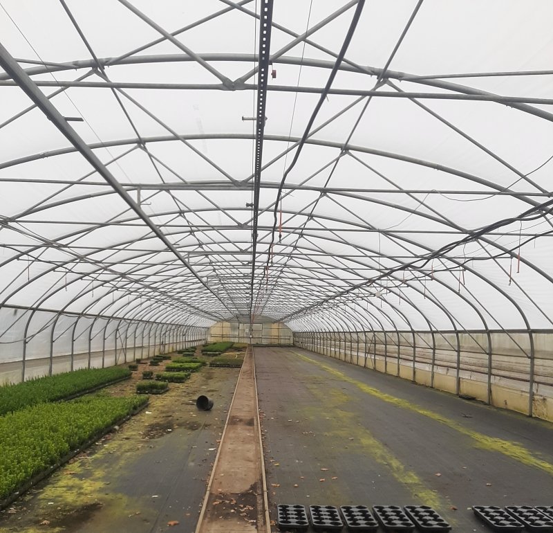 Folientunnel Stolte 12,00m breit x 78m lang