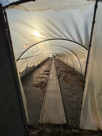 Folientunnel Poppen